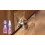 Cat Care Spray: Prevent Scratching & Urination, Soothe Cats 7