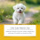 Dog Protection Spray with Vitamin E, Waterproof & Gentle 3
