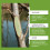 Tree Wound Healing Ointment: Protects Saplings from Rain Erosion 11