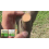 Tree Wound Healing Ointment: Protects Saplings from Rain Erosion 7