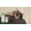 Cat Deterrence Spray - Gentle Furniture Protector, Guides Cat Behavior 7