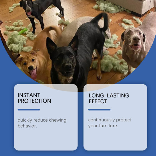 Hunde-Anti-Kau-Spray, Bittertraining für Möbel & Sofa 2