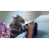 Cat Protection Spray: Prevents Scratches, Multi-Pet 7