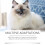 Cat Protection Spray: Prevents Scratches, Multi-Pet 3
