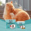 Cat Chewable Tablets, Chicken-Flavored Daily Supplement for Cats 9