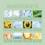 Aloe Vera Haarentfernungscreme, mild & pflegend 5