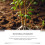 Root Nutrition Powder for Plant Germination 3