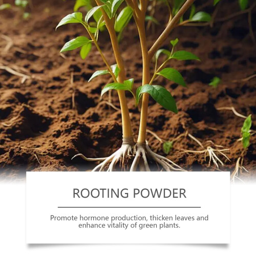 Root Nutrition Powder for Plant Germination 2