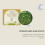 Oleuropein Teebaum-Shampoo: Sanft reinigend & pflegend 11