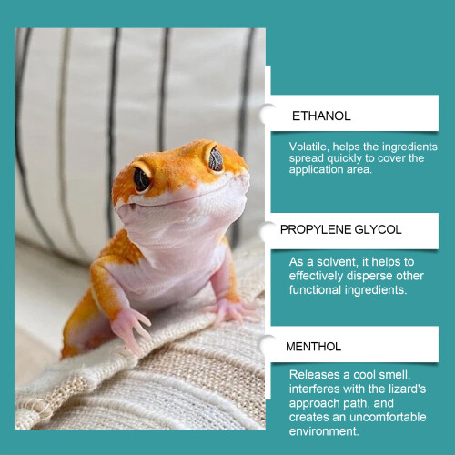 Eidechsen- & Geckospray: Vertreibt Eidechsen im Haus 2