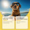 Hundesonnenschutz-Spray 4