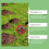 Outdoor Mole Repellent Pills for Garden Odor Control 12
