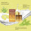 Non-Tanning Herbal Essence for Bronze Skin 3