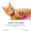 Catnip Spray, Scratch-Resistant, Long-Lasting Mint Fragrance 4