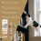 Cat Teething Stick - Chewy Pet Snack for Teeth Care 11