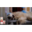 Pet Liquid Supplement for Dogs/Cats, Balanced Easy Absorption 7