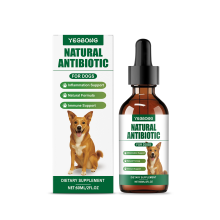 Multivitamin für Hunde: Hautpflege & Tagesbedarf