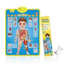 (My Body) Electronic Wall Chart Interactive Alphabet Toddler Preschool Educational Games Learning Activities For Kids Birthday Gifts Toys