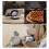 (White)Phone Fill Light with Mirror Wireless Rechargeable Rings Light for Live 4