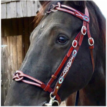 Leather Adjustable Horse Bit Bridle Size Options Outdoor Equestrian Tack Horse Racing