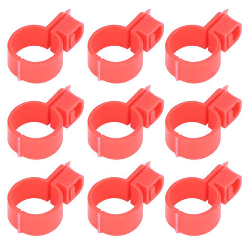 100 Stück Hühnerbeinbänder, Schnallendesign, 1