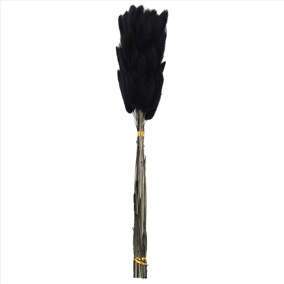 60Pcs Fall Dried Flowers Bunny Tails Lagurus Ovatus Rabbit Tail Grass For Floral(Black) Black 4851249032149