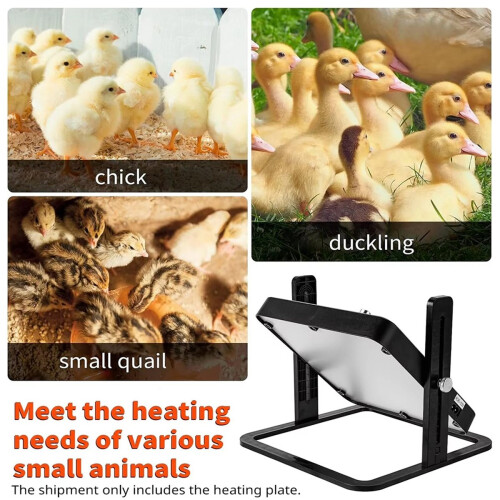 Small Brooding Kiosk with Pet Heating Heating Plate Safety Temperature Control Intelligent Chicken Heater EU Plug 2