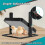 Small Brooding Kiosk with Pet Heating Heating Plate Safety Temperature Control Intelligent Chicken Heater EU Plug 5