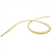 Arco de violino de 75 cm com crina de cavalo natural branca.