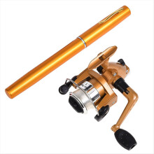 Canna da pesca telescopica compatta a forma di penna con mulinello - Portatile, ideale per viaggi e pesca occasionale C