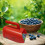 Berry Picker Ergonomic Berry Pick Rake Plastic Handle Picking Tool Blueberry Collection with Ergonomic Handle 5