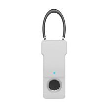 Tuya Vingerafdruk Hangslot Bluetooth Combinatie Hangslot Koffer Bagage Code Slot Mini Vingerafdruk Sleutel Anti-diefstal Slot A