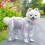 Dirt Resistant Pet Bodysuit Elastic Breathable Fabric-Blue M 7
