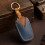 Car Key Case Cover Shell Fob for Prado 4 Button Blue 3