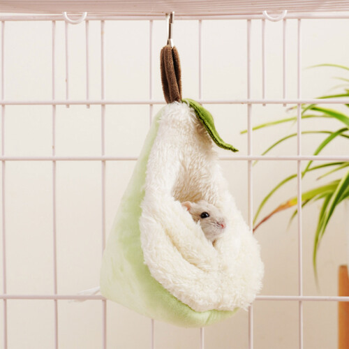 Sugar Gliders Cachettes Maison Chaud Hiver Sommeil Lit Nid Cage 1