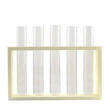 Doorzichtige glazen buizen, decoratieve houten standaard voor hydrocultuurkweekstation, terrarium, ideaal voor huis- en kantoordecoratie (1 stuk)