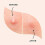 Dot for Spot Pimple Patches for Face Hydrocolloid Acne Patch Invisible Sticker 5