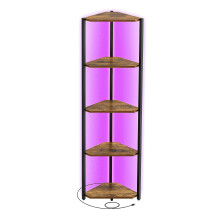 VASAGLE 5-Tier Corner Shelf, Bookcase with Adjustable LED Lights, Storage Shelf with Steel Frame, 24.8 x 48 x 146.6 cm, for Living Room, Bedroom,