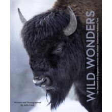 Wild Wonders by Julia Cook Hardcover Book