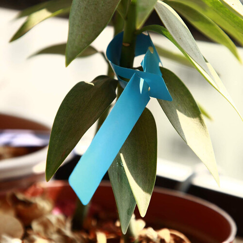 Κίτρινες πλαστικές ετικέτες φυτών, ρυθμιζόμενες ετικέτες φυτωρίου με μεγάλη 2