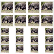 Hunting Targets Standard Training Target For Range And Bow 20x Thickened Sturdy Boar Target Paper For Backyard Practice