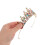De Coroa Para Mulheres Tiara 4