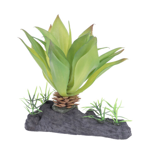 Aquáticas Simuladas Para Terrário Répteis