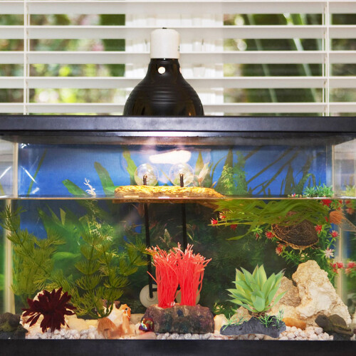 Aquáticas Simuladas Para Terrário Répteis 2