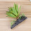 Aquáticas Simuladas Para Terrário Répteis 11