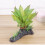 Aquáticas Simuladas Para Terrário Répteis 6