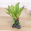 Aquáticas Simuladas Para Terrário Répteis 7