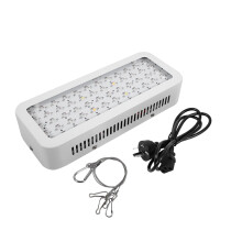Lâmpada de cultivo profissional de espectro completo para interiores, compatível com conexão em série (daisy chain), eficiente em termos de