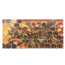 Drapeau d'extérieur en forme d'abeille au design réaliste, œillets en laiton robustes et impression résistante à la décoloration, cadeau idéal