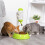 1 Pièce Distributeur Automatique Aliments Pour Chat (Vert) 11